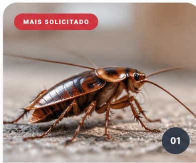 Serviço de Desbaratização da AlgarSafe Control