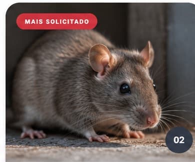 Serviço de Desratização da AlgarSafe Control