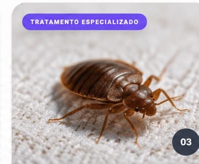 Serviço de Percevejos da AlgarSafe Control